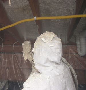 Guelph ON crawl space insulation